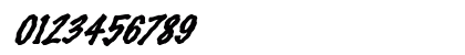 FZ HAND 14 WAVEY ITALIC Normal Numeric Preview