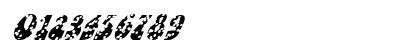 FZ JAZZY 16 HOLEY ITALIC Normal Preview