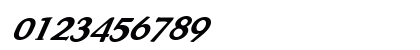 FZ ROMAN 33 ITALIC Normal Preview