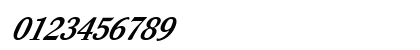FZ ROMAN 39 ITALIC Normal Preview