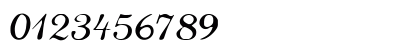 FZ SCRIPT 22 Normal Numeric Preview