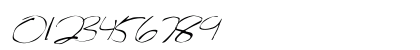 FZ WARPED 27 ITALIC Normal Preview