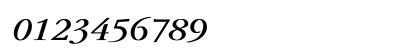 Garamond Italic Bold Numeric Preview