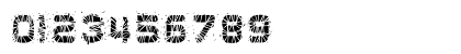 GlazKrak Busted Numeric Preview