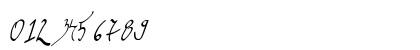 graceful regular Regular Numeric Preview