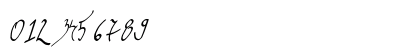 graceful regular Regular Numeric Preview