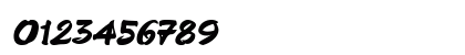 GrunionScript Bold Italic Preview