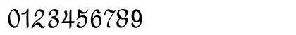 Guinok Bold Numeric Preview