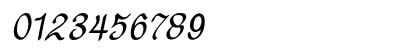 Guinok Bold Italic Numeric Preview