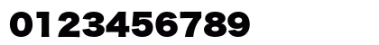 Hiragino Kaku Gothic Std W9 Preview