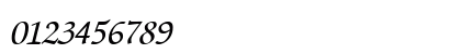 HZurichCalligraphic Italic Numeric Preview