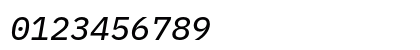 IBM Plex Mono Text Italic Preview