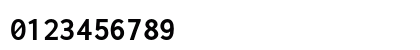 Inconsolata Nerd Font Bold Preview