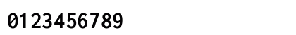 Inconsolata Nerd Font Bold Preview