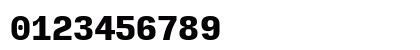 Input Mono Black Numeric Preview