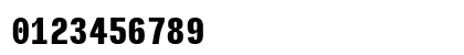 Input Mono Compressed Black Numeric Preview