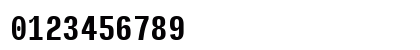 Input Mono Compressed Bold Preview