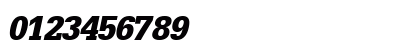 InstallationBlackSSK Italic Preview