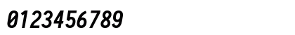 Iosevka Nerd Font Bold Italic Preview