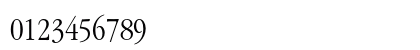 ITC Garamond Std Light Narrow Preview