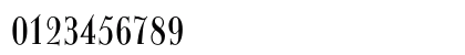 ItingOpti RegularCondensed Numeric Preview