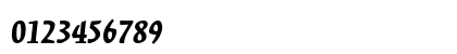 Kinesis Std Black Italic Preview