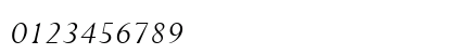 Lapidary333 BT Eo Italic Numeric Preview