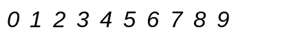 LiterationSans NF Italic Preview