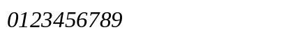 LiterationSerif Nerd Font Italic Preview