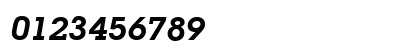Lubbers BoldItalic Numeric Preview