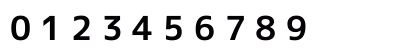 mplus Nerd Font Mono Bold Numeric Preview