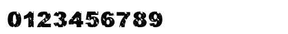 Nostra Bold Preview