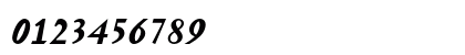 Mercurius MT Std Bold Script Numeric Preview
