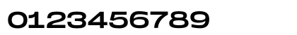 Monument Extended Light Numeric Preview
