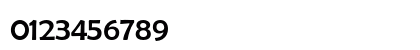 MP FBBerlinSans Roman Numeric Preview