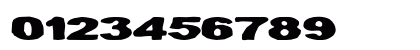 Muddled Extra-expanded Bold Numeric Preview
