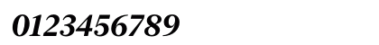 New York Large Bold Italic Numeric Preview