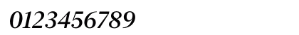 New York Large Medium Italic Numeric Preview
