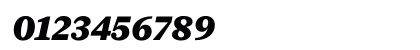 New York Small Black Italic Numeric Preview
