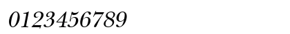 NewBaskerExpert Oblique Preview