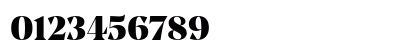 Noe Display Black Regular Numeric Preview