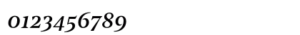 Noe Text Book Italic Numeric Preview