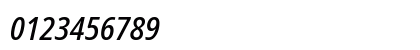 NotoSans Nerd Font Italic Numeric Preview