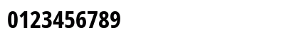 NotoSansDisplay NF Bold Preview