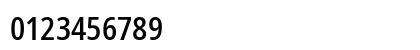 NotoSansDisplay NF Regular Preview