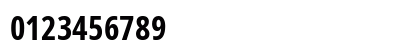 NotoSans NF Bold Preview