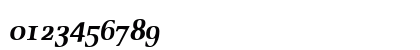 Oldstyle Bold Italic Numeric Preview