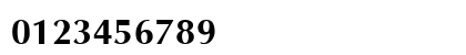 Optim Bold Preview