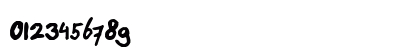 Paasse Handwriting Regular Numeric Preview
