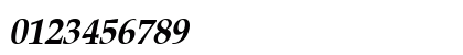 Padua Bold Italic Numeric Preview